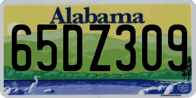 AL license plate 65DZ309