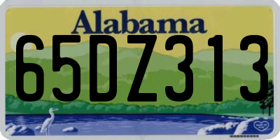 AL license plate 65DZ313