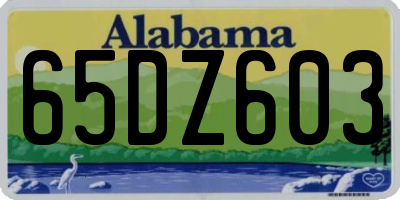 AL license plate 65DZ603