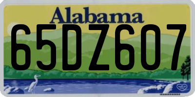 AL license plate 65DZ607