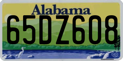 AL license plate 65DZ608