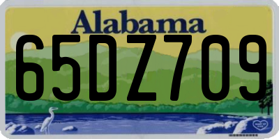 AL license plate 65DZ709