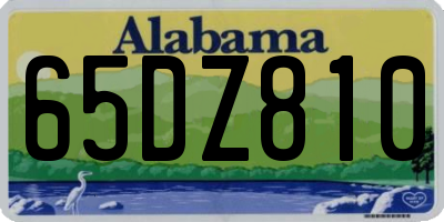 AL license plate 65DZ810