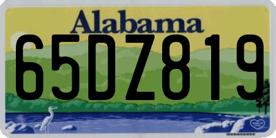 AL license plate 65DZ819