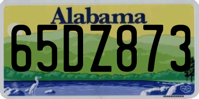 AL license plate 65DZ873