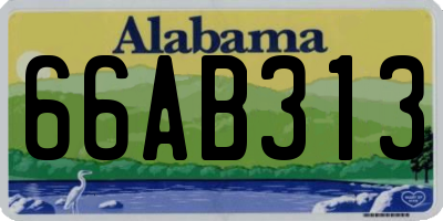 AL license plate 66AB313