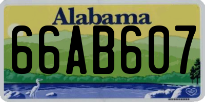 AL license plate 66AB607
