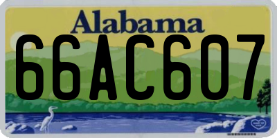 AL license plate 66AC607