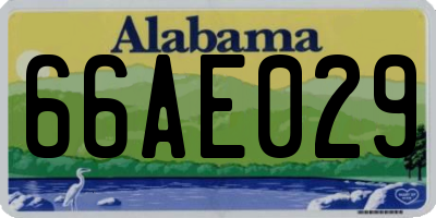 AL license plate 66AE029