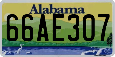 AL license plate 66AE307