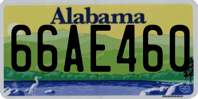 AL license plate 66AE460