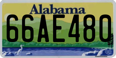 AL license plate 66AE480