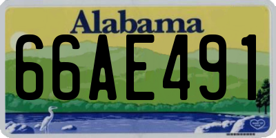 AL license plate 66AE491