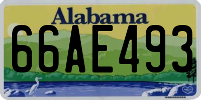 AL license plate 66AE493