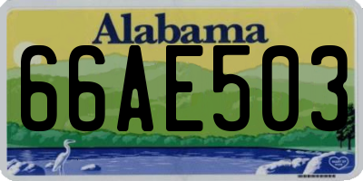 AL license plate 66AE503