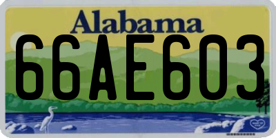 AL license plate 66AE603