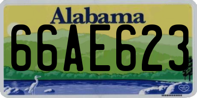 AL license plate 66AE623