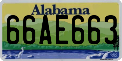AL license plate 66AE663