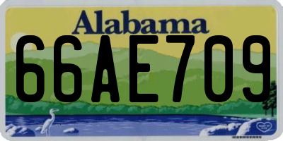 AL license plate 66AE709