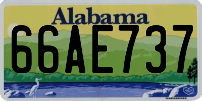 AL license plate 66AE737