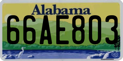 AL license plate 66AE803