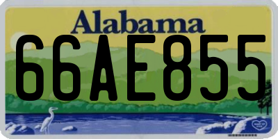 AL license plate 66AE855