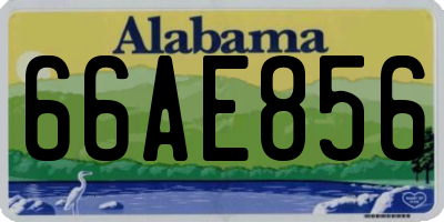 AL license plate 66AE856
