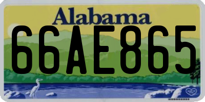 AL license plate 66AE865