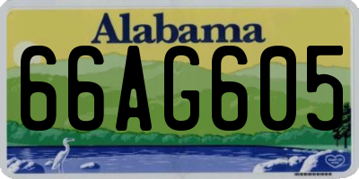 AL license plate 66AG605