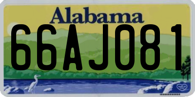AL license plate 66AJ081