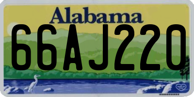 AL license plate 66AJ220