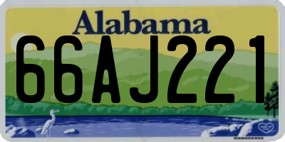 AL license plate 66AJ221