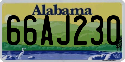 AL license plate 66AJ230