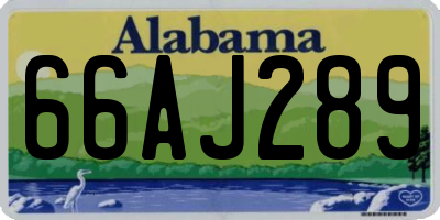 AL license plate 66AJ289