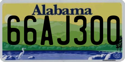 AL license plate 66AJ300