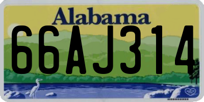 AL license plate 66AJ314