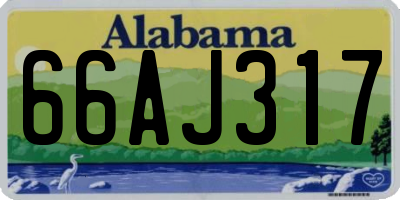 AL license plate 66AJ317