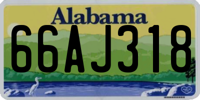 AL license plate 66AJ318