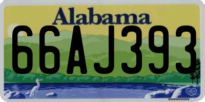 AL license plate 66AJ393