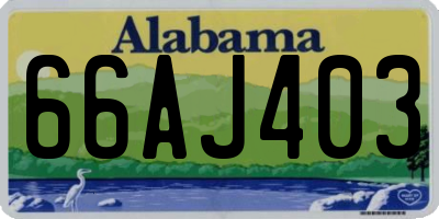 AL license plate 66AJ403