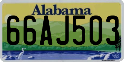 AL license plate 66AJ503