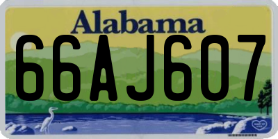 AL license plate 66AJ607