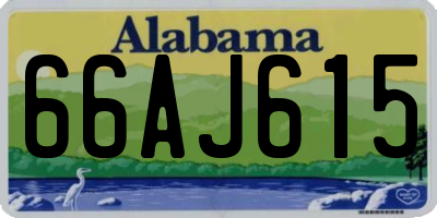 AL license plate 66AJ615