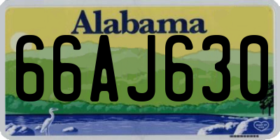 AL license plate 66AJ630