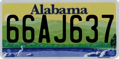 AL license plate 66AJ637
