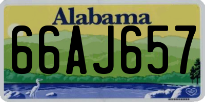 AL license plate 66AJ657