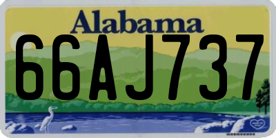 AL license plate 66AJ737