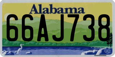 AL license plate 66AJ738