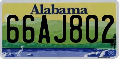 AL license plate 66AJ802