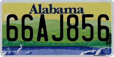AL license plate 66AJ856